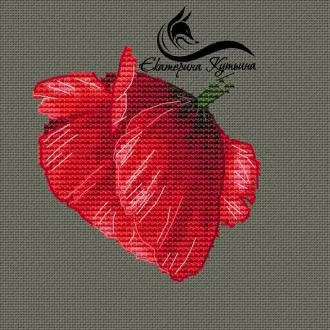 Вышивка Мак