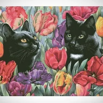 Вышивка  Котики