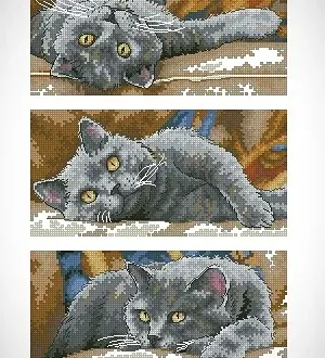 Вышивка  Кот Макс