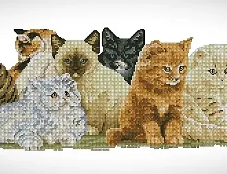 Вышивка Котята