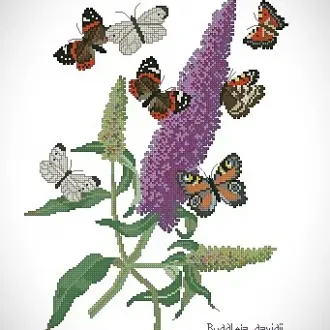 Вышивка Бабочки над цветами