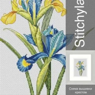 Вышивка Испанский ирис