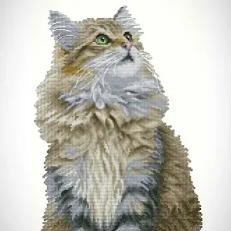 Вышивка Лесной кот