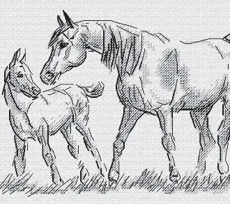 Вышивка Кобыла и жеребенок