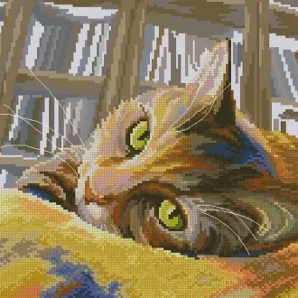 Вышивка Котик на подушке