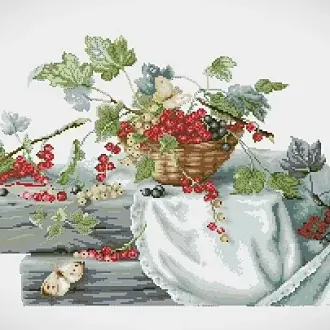 Вышивка Черная и красная смородина