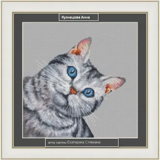 Вышивка Кот