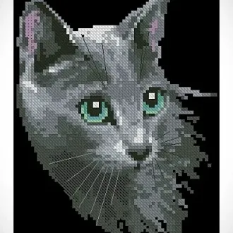 Вышивка Кот