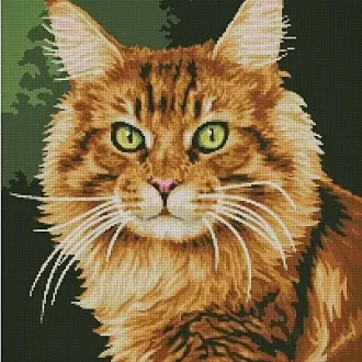 Вышивка Кот