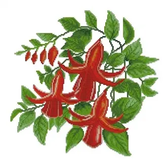 Вышивка Красная фуксия