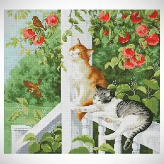 Вышивка Котики на веранде