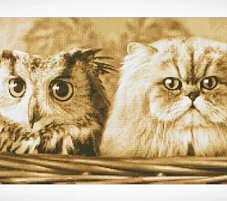 Вышивка Кот и филин