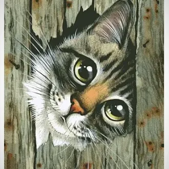 Вышивка Котик в заборе