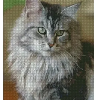 Вышивка Кот