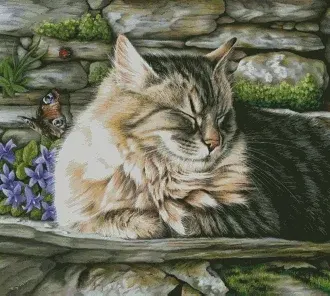 Вышивка Дремлющий кот