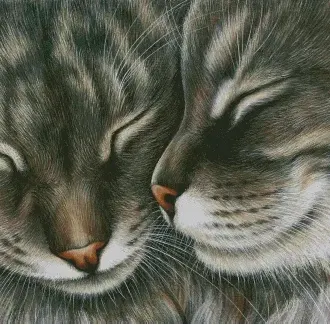 Вышивка Кошечки