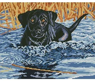 Вышивка Щенок в воде