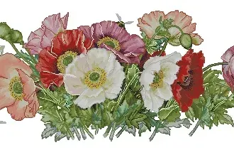 Вышивка Маки