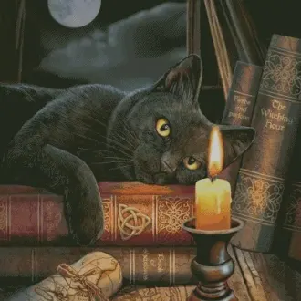 Вышивка Черная кошка и свеча