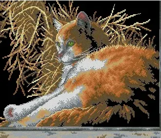 Вышивка Рыжий кот