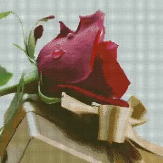 Вышивка Роза и подарок