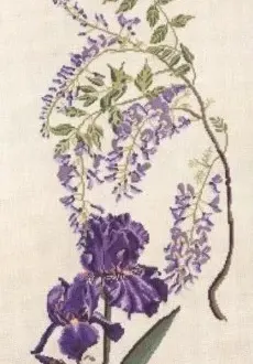 Вышивка Ирисы
