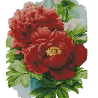 Вышивка  Красные пионы