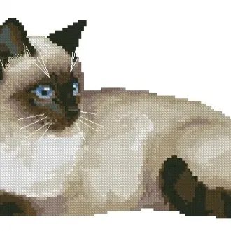 Вышивка Сиамский котенок