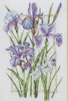 Вышивка Ирисы