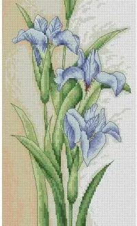 Вышивка Ирисы