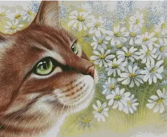 Вышивка Кошка и ромашки