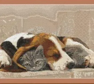Вышивка Дружба собаки и кота