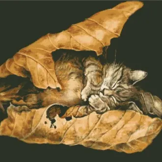 Вышивка Спящий котенок в листве