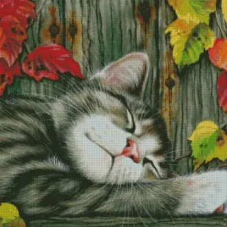 Вышивка Спящий котенок