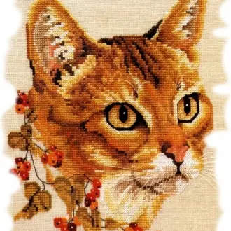 Вышивка Кот