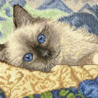Вышивка Котик