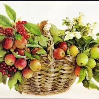Вышивка Фруктовая корзина