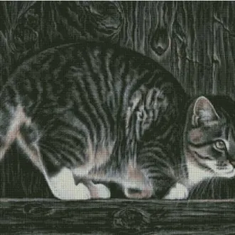 Вышивка Котенок