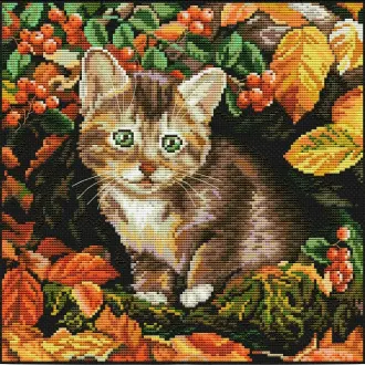 Вышивка Осенний котенок