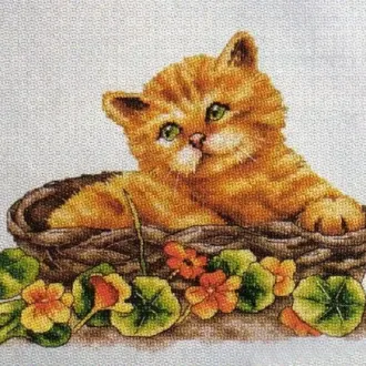 Вышивка Котик в корзинке
