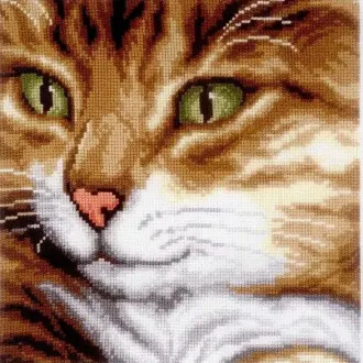Вышивка Котик