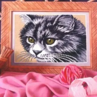 Вышивка Сибирский кот