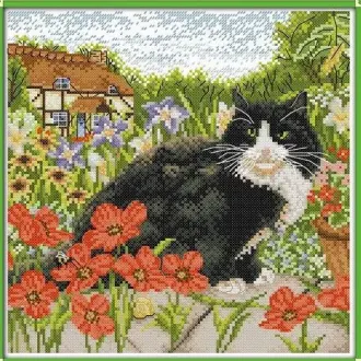 Вышивка Черно-белый кот