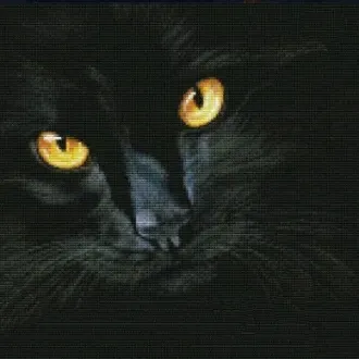 Вышивка Черный кот