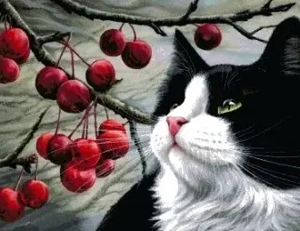Вышивка Кот и вишня