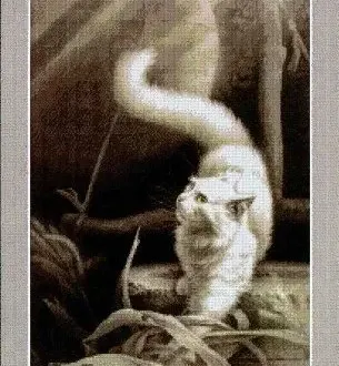 Вышивка Белый кот