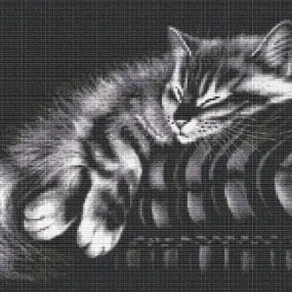 Вышивка Котенок спит на книге