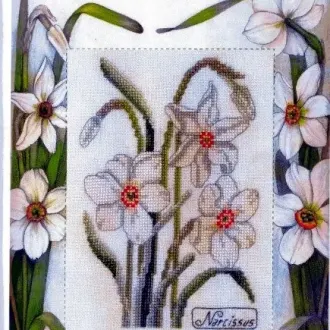 Вышивка Нарциссы