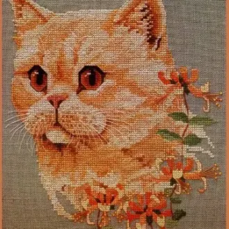 Вышивка Рыжий кот