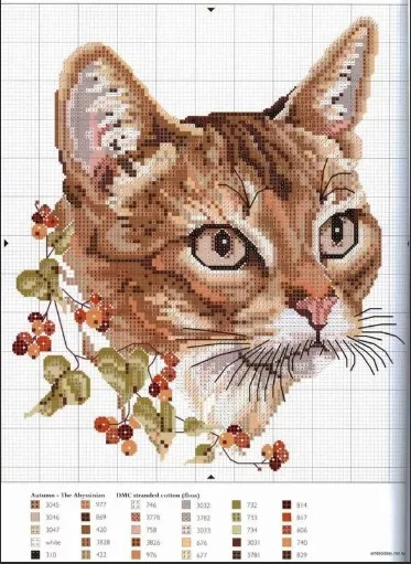 Вышивка Рыжий кот, фото 2